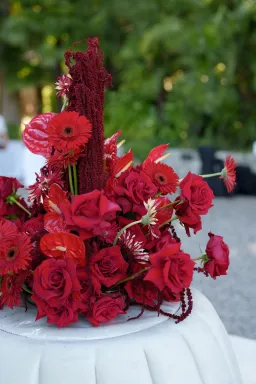 Red Welcome Party