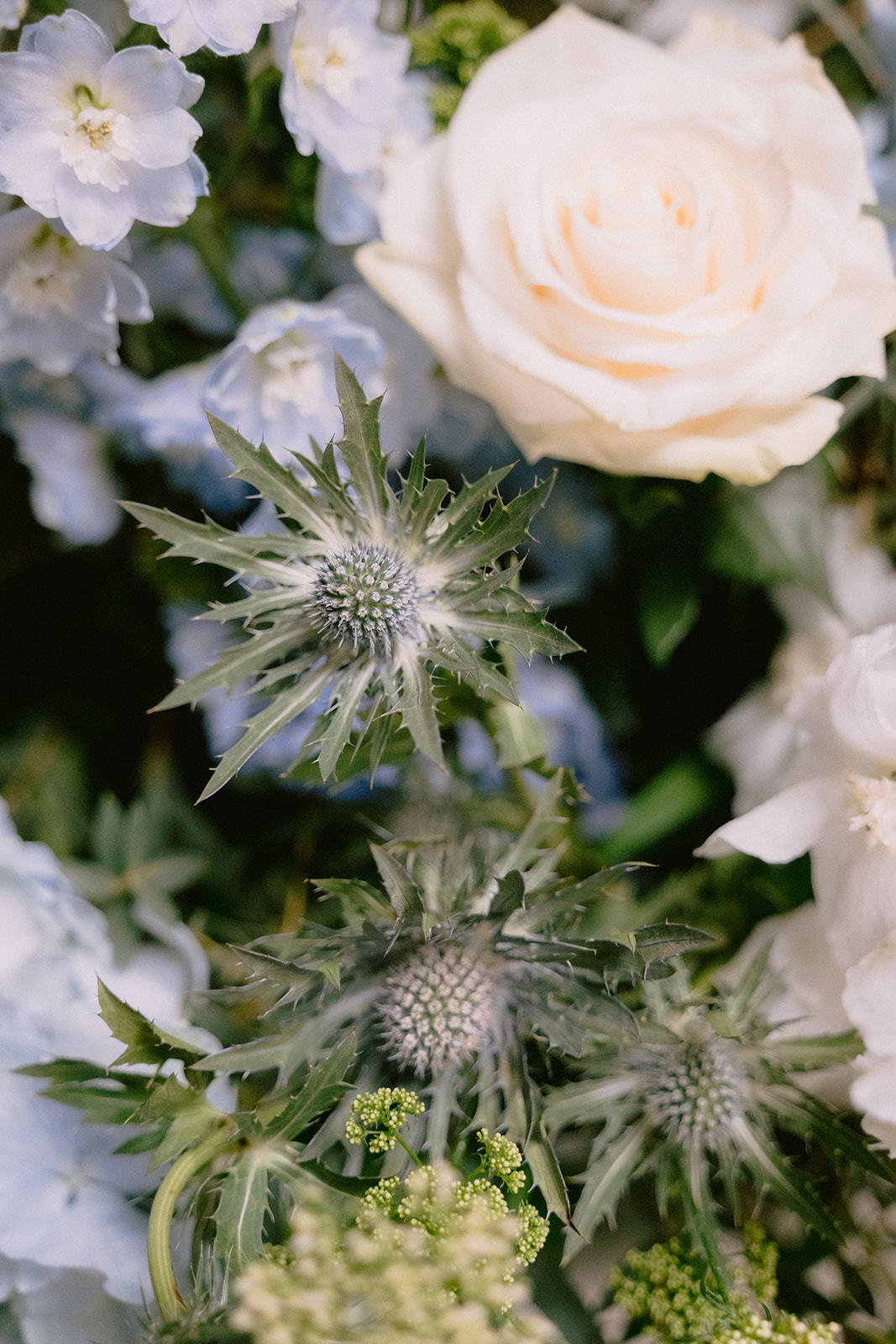 Love inspired by the Beauty of Amalfi