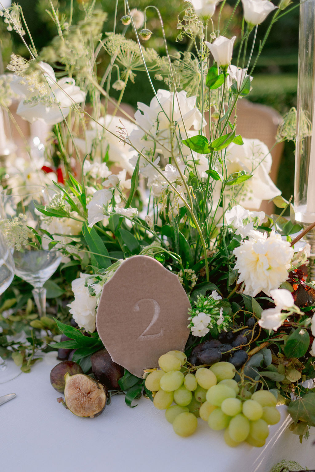 Return to the Origins