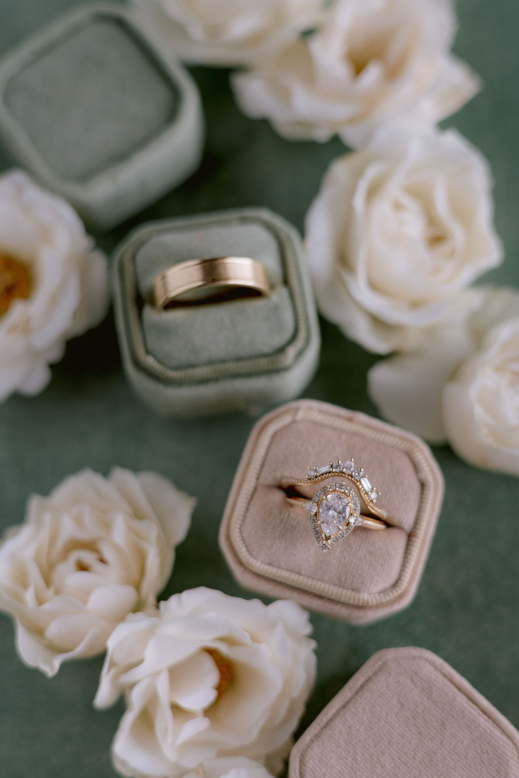 Return to the Origins