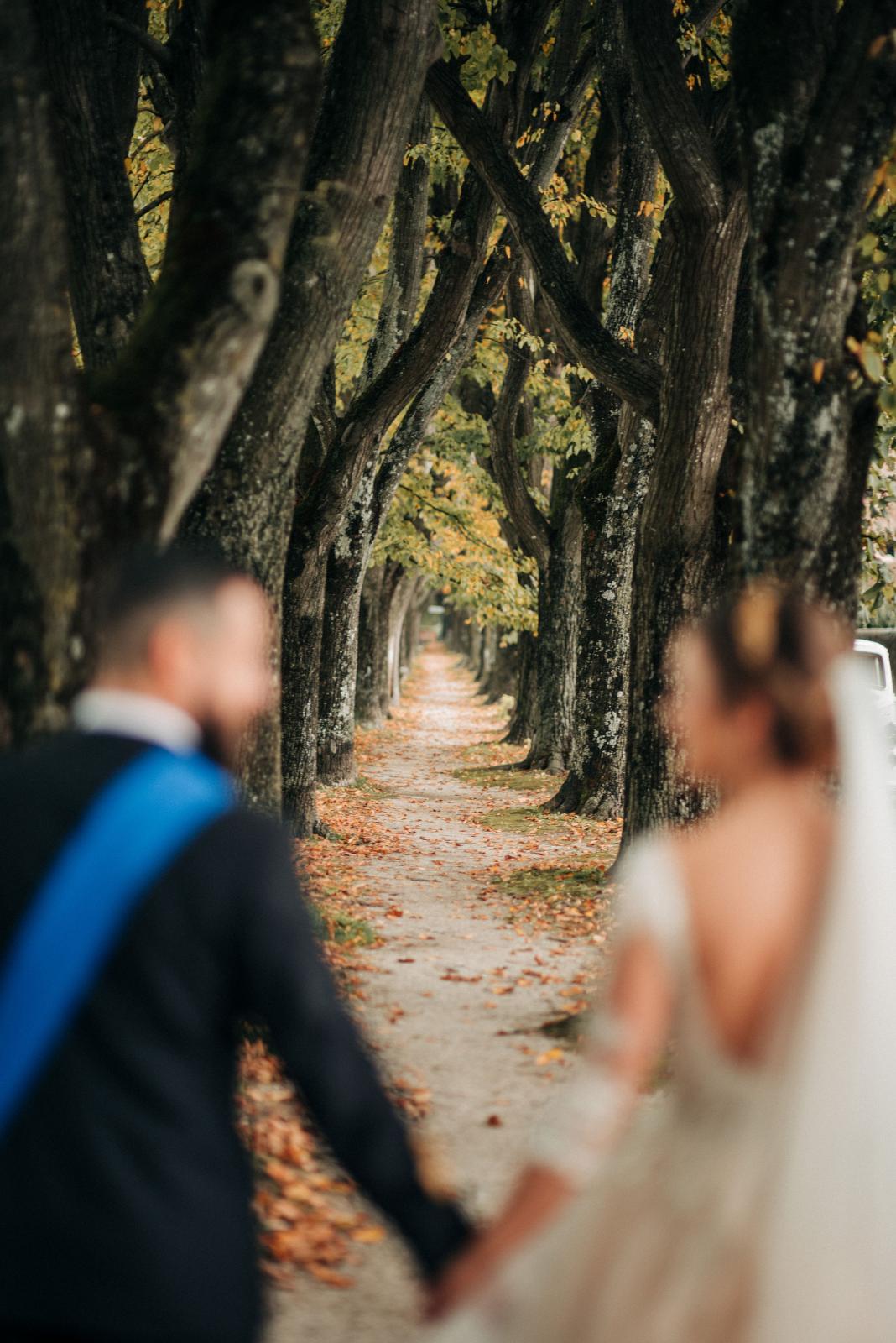 Modern Tuscan Romance