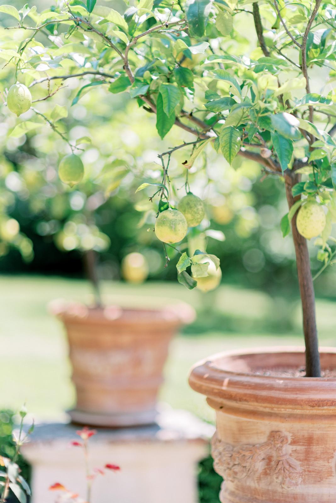 Mirror mirror on the wall